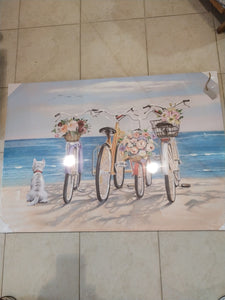 Quadro bici 040