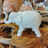 Elefante bianco 795